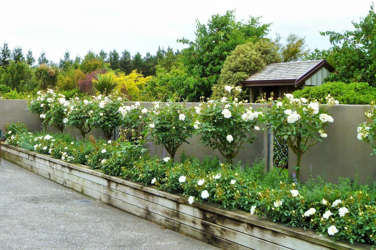 Belle Maison French Country Stay New Plymouth Luaran gambar